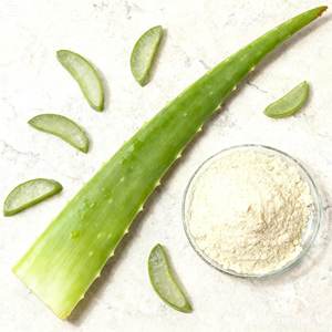 Premium-quality natural aloe vera <b>extract</b> powder 200X for precise skincare formulations and efficient cosmetic manufacturing - Product Image 1