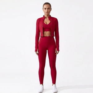 V Neck Sportswear <b>Bra</b> & Leggings Hoodie 3 Piece Set Women's Workout Wear 3 Piece Set Activewear Women's Yoga Compression 3 Piece - Product Image 1