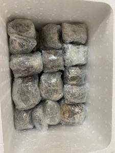 Produit Disponible Produit Coquille Limpet pour Femme Enceinte Coquilles de Bébé Allaitement au Meilleur Prix-LOTUS BLEU du Vietnam - Product Image 4