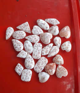 พลอยธรรมชาติคุณภาพสูงจากอินโดนีเซีย นิลสีชมพู ลาลิมาร์สีชมพู ทอมสันไนต์สีชมพู แบบคาโบชอง สำหรับงานฝีมือและคริสตัล - Product Image 1