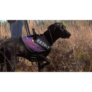 Pettorina Regolabile per Cani con Imbottitura Traspirante a Quattro Punti di Connessione e Compressione sul Torace - Categoria Pettorine per Animali Domestici - Product Image 6