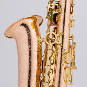 Saxofón Alto Profesional, Instrumento de Viento de Madera - Product Image 4