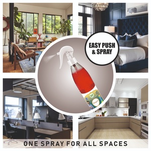 Paquete Combinado de Ambientador en Aerosol Ecológico Engaze & Spark, Fragancia Duradera, Eliminación Instantánea, Frescura Premium para el Hogar - Product Image 3