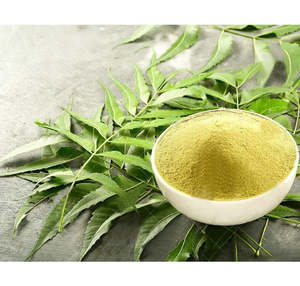 Extracto de Corteza de Neem de Grado Alimenticio en Polvo, Calidad Premium, Natural, Herbal, Bolsa de 25 kg, Hecho en India, Suministro al por Mayor - Product Image 3