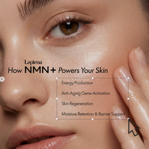 เซรั่มบำรุงผิวหน้าเกาหลี NMN Plus Brightening Serum ไนอะซินาไมด์ ช่วยเพิ่มความชุ่มชื้น ยืดหยุ่น เรียบเนียน - Product Image 5