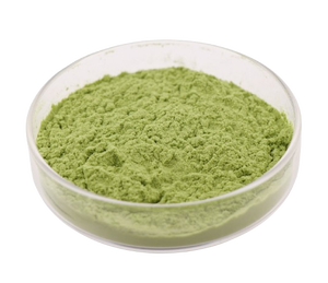 BCI Supply Premium Organik Gıda Sınıfı Bitkisel Ekstrakt Matcha Yeşil Çay Tozu, Polifenoller İçeren, Varil ve Vakumlu Paketlenmiş - Product Image 2