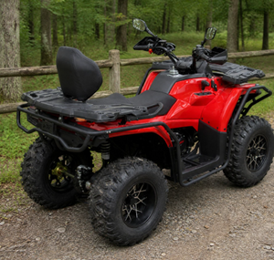 รถเอทีวีวิบาก 2026 WILD BLADE 300 ซีซี พร้อมระบบขับเคลื่อนโซ่ CVT  ชั้นวางสัมภาระด้านหน้าและด้านหลัง และเครื่องกว้าน 2000 ปอนด์ สำหรับใช้งานในฟาร์มและปศุสัตว์ - Product Image 2