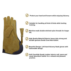 Guantes de Cetrería de Calidad, Talla Personalizada, Diseño Más Reciente y Más Vendido, con Características Transpirables e Impermeables - Product Image 3