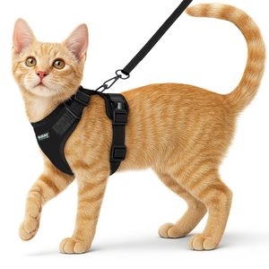 Arnés para gatos BURAO con correa de nailon ajustable, transpirable, sin tirones, para gatos pequeños - Product Image 1