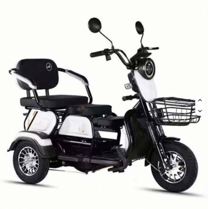 Venta Especial: Mototaxi Eléctrico de Alta Potencia de 60V, Triciclo Solar para Adultos - Product Image 6