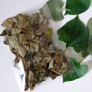 Natural Vietnam Houttuynia Cordata Tea 7oz Stand Up Pouch for Daily Tea Brewing and Beverage Preparation - Product Image 2