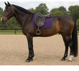 Almohadilla de Silla de Montar para Caballos de Alta Calidad, de Algodón, Cómoda y Transpirable, con Estructura de Madera para Carreras de Caballos - Product Image 2