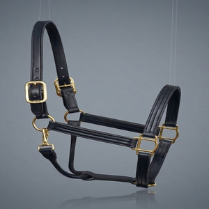 Harnais en cuir pour l'équitation de qualité supérieure 2026, personnalisé, équipement d'équitation, harnais OEM - Product Image 5