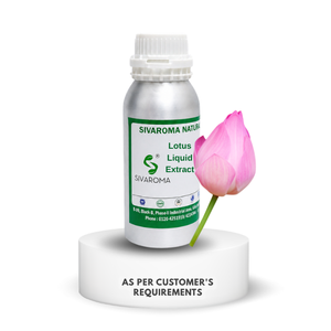 Extracto Líquido de Loto de Alta Calidad con Apariencia Consistente para Formulaciones de Belleza, Productos Aromáticos y Suministro Industrial a Granel - Product Image 1