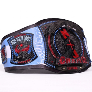 Cinturón de Levantamiento de Pesas de la Serie Signature de Blaze Fight Wear, Nuevo, con Hebilla de Aleación y Cuero Vacuno, Resistente al Agua y Reversible, con el Logro del 434 Días - Product Image 1