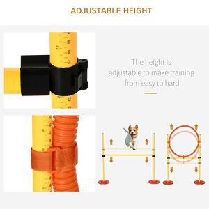 Attrezzatura per l'addestramento all'agility per cani - Product Image 4