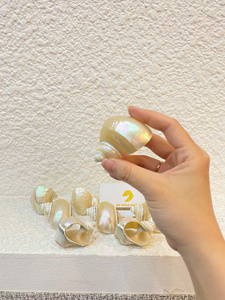 Anillo para Servilletas Hecho a Mano en Vietnam con Diseño de Caracol y Concha Marina, para Decoración de Mesa con Temática Oceánica en Hoteles y Banquetes - Product Image 2