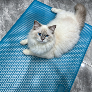 Tapis de litière pour chat en nid d'abeille lavable, résistant au froid, en latex antidérapant pour chats et chatons - Product Image 3