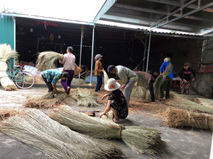 Sustainable Seagrass Rope For Everyday Applications - Product Image 6