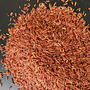 ARROZ ROJO DE CALIDAD PREMIUM 5% PARTIDO DISPONIBLE EN ENVASADO AL POR MENOR 1KG 2KG 5GK - Pey - Product Image 4