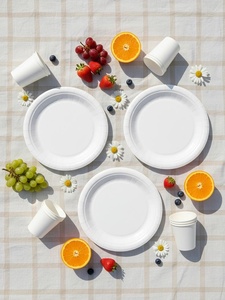 Assiettes jetables durables pour collations et plats rapides, très vendues, 6 pouces, forme ronde, assiettes à dessert de qualité supérieure pour fêtes et événements - Product Image 1