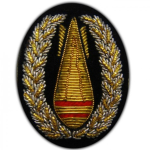 Patch brodé RSAF thermocollant, appliqué en tissu tissé de forme irrégulière pour décoration - Product Image 2