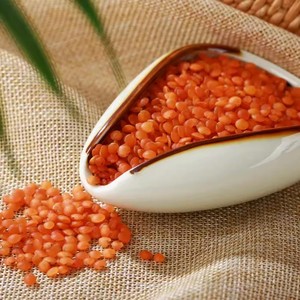 Lentejas Rojas Secas Orgánicas de Alta Calidad, 100% Naturales, 25 kg, Venta al por Mayor, Listas para Cocinar, Procesadas por Congelación, 2 Años de Vida Útil, Agrothai - Product Image 3