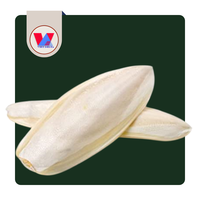 BEST SELLER Os de Sepia Entier Non Taillé Durable 20-25cm pour Supplément de Calcium pour Tortues en Vrac