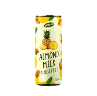 Premium kwaliteit voedingsmiddel amandelmelk drankmix vers fruit OEM private label service chocoladesmaak verrijkt met vitamine E voor volwassenen