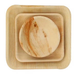 Assiettes en feuilles de palmier Areca de qualité supérieure, design carré de 10 pouces, assiettes pour la restauration rapide et les repas sains, vaisselle jetable durable, 50 pièces - Product Image 1