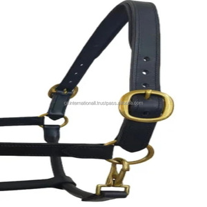 สายคล้องคอหนังสีดำบุนวมสำหรับขี่ม้าวัสดุหนังสไตล์อังกฤษ - Product Image 6
