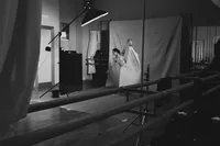Servicios de Estudio de Edición de Fotos con Corrección de Color Avanzada, Ajuste de Iluminación y Mejora de Detalles Disponibles al por Mayor