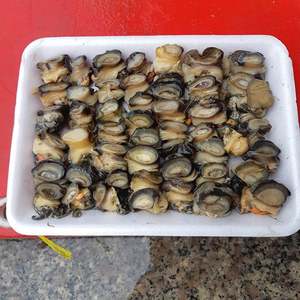 VIEt DELTA Boiled Apple Snail Meat Nghe Origin Best Price Naturally Sweet Flavor Great for Snail Spring Rolls Vacuum Bag Frozen - Product Image 2