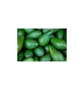 Conteneur de gros volume d'avocats frais professionnels pour la restauration et la distribution au détail - Product Image 1