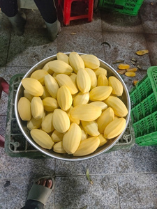 Mango Deshidratado para el Mercado de Indonesia, Bocadillo de Mango Tropical Suave y Masticable, Rebanadas de Mango con Sabor Dulce Natural, 1 kg, Origen Vietnam, Exportación a Granel - Product Image 2