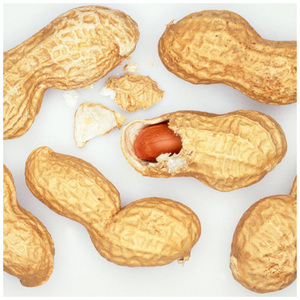 ราคาขายส่งถั่วลิสงแดงเปลือกแดงออร์แกนิกอบแห้ง คุณภาพดี จำนวนมาก - Product Image 3