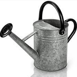 Regadera metálica para jardín con acabado natural, regadera galvanizada con tapa extraíble, regadera de hierro con acabado natural. - Product Image 1