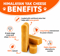 Friandises à mâcher pour chiens au lait de yak de l'Himalaya, riches en protéines, longue durée, saveur fromage, pour l'hygiène dentaire, sans céréales, OEM ODM Marque Privée Vente en Gros