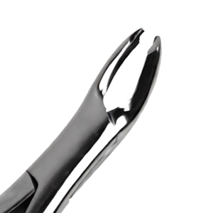 Pinzas de Extracción Dental # Instrumento Quirúrgico Dental de Acero Inoxidable para Extracción de Molares Inferiores 1er y 2do - Product Image 3