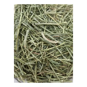 Heno Timothy de Primera Calidad para Alimentación Animal, Heno para Conejos y Cobayas, Suministro al por Mayor, Stock Disponible - Product Image 1