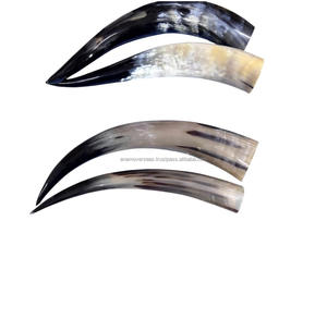 Decoración de Pared con Par de Cuernos Largos de Cuerno de Vaca Natural Pulido - Product Image 3