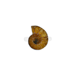 แหวนเงินแท้ 925 คุณภาพสูง ดีไซน์คลาสสิก ทรงวงแหวนแบบ Bezel Setting ประดับด้วยหิน Ammonite รูปทรงหยาบธรรมชาติ เหมาะสำหรับผู้ชายและผู้หญิง สวมใส่ได้ในโอกาสต่างๆ - Product Image 2
