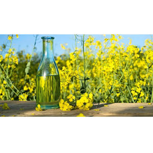 Huile de colza raffinée pour la cuisson, la friture, les vinaigrettes et les applications de préparation alimentaire commerciale - Product Image 2