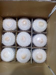 EXPORT STANDARD Premium Whole FRAIS DIAMOND COCO Husk Shell Organic 800g 900g Vietnam Quality Healthy Natural Tropical Drink - Product Image 5