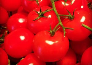 Prix d'usine Tomates fraîches naturelles non-OGM Tomates rouges de qualité supérieure Légumes frais de la ferme Vente en gros Exportation mondiale - Product Image 3