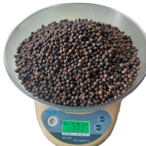 Meilleure Vente Poivre Noir du Vietnam 500GL Poivre Entier Séché Propre Vente en Gros Exportation Épice Riche en Pipérine - Product Image 3