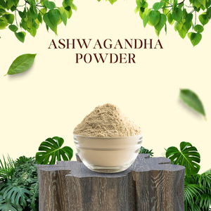 Poudre de racine d'Ashwagandha, ingrédient végétal naturel ayurvédique, superaliment botanique, ingrédient traditionnel à base de plantes, énergie quotidienne, plante pure - Product Image 4