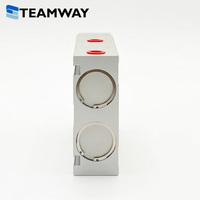 TEAMWAY Cilindro Deslizante Guía Serie GSB/GSU de Doble Varilla, Mesa Neumática de Aluminio con Pistón, Buje Sinterizado y Opción de Rodamiento Lineal