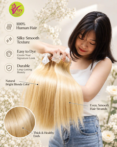 Venta al por mayor VuyHair Cabello Rubio Vietnamita con Cierre de Donante, Doble Trama, Doble Tirado, Suave, de Grosor Completo, Paquetes de Cabello Virgen, Precio Más Bajo - Product Image 1