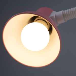 Ampoule LED A19 9W 3000lm 3500K E27 non dimmable AC 220V PVC certifiée Energy Star 88 Lm/W 25000 heures Garantie 2 ans – Fabricant Vietnamien - Product Image 6